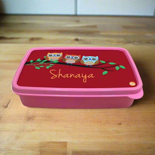 Personalized Snack Box for Kids Plastic Lunch Box for Girls -Cute Owls Nutcase
