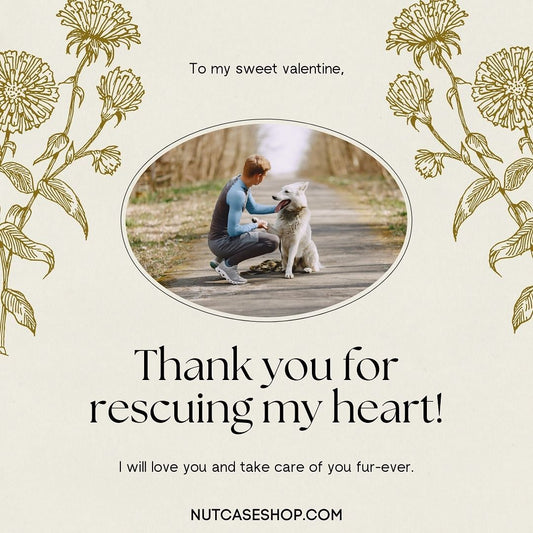 Create Valentine Cards Online Free Nutcase