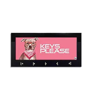 Key Holder Home Keys Organizer for Wall Decor - Hipster Pitbull