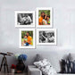 Personalised Photo Frames - White Wall Frames 8x10 Inch for Home (Set of 4)