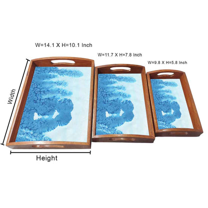 Wooden Tray with Handles Set of 3 for Kitchen Use