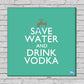 Wall Art Decor Panel For Home - Save Water Drink Vodka Nutcase