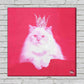 Pink Wall Art Decor For Living Room - Cat Nutcase