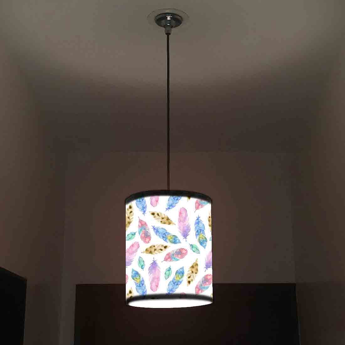 Ceiling Hanging Pendant Lamp Shade - Colorful Feathers Nutcase