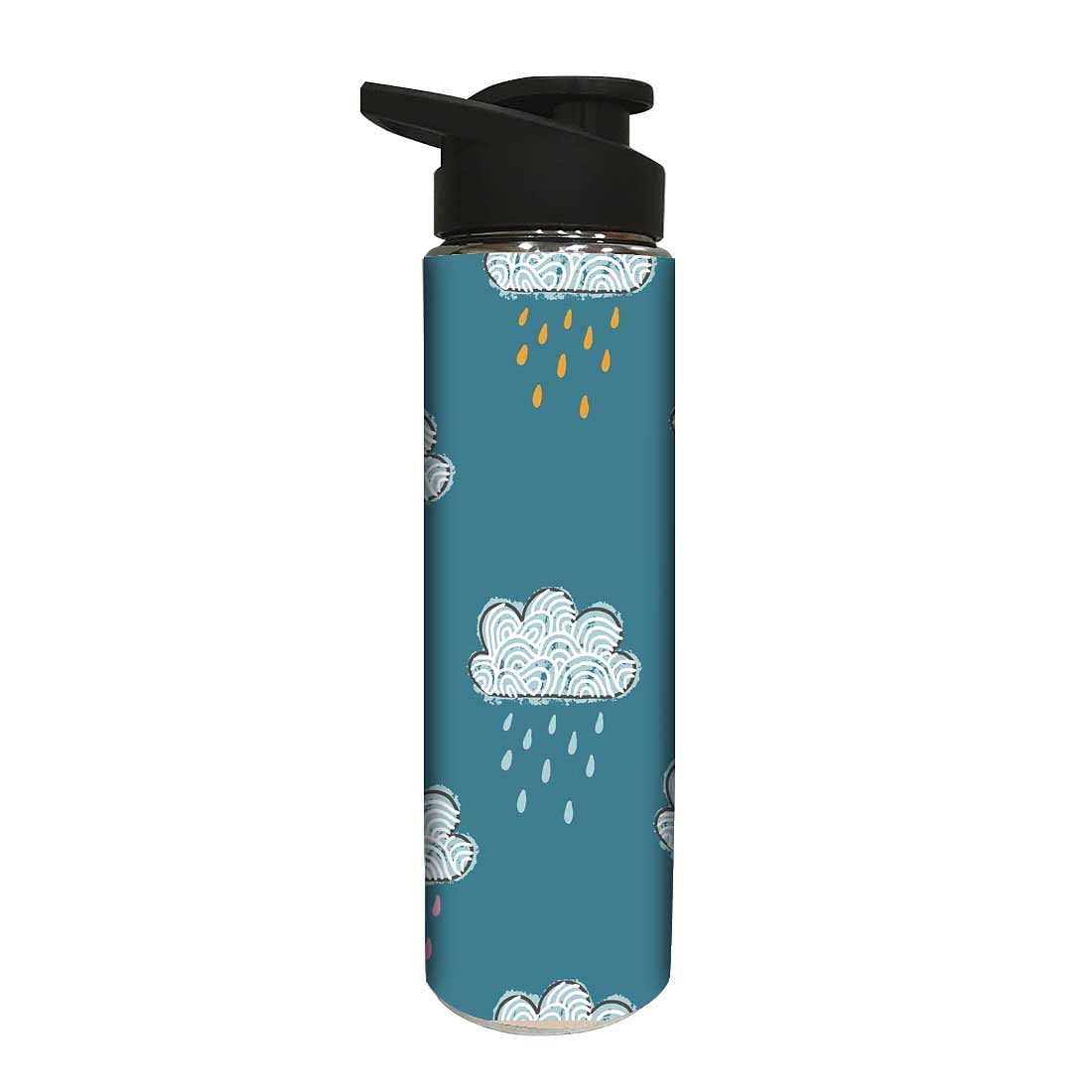 Designer Stainless Steel Water Bottle -  Rainy Clouds Nutcase