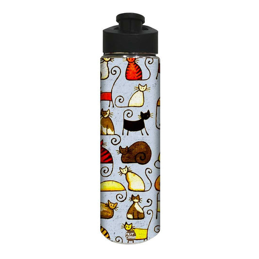 Designer Sipper Bottle for Kids -  Cute Cat Nutcase