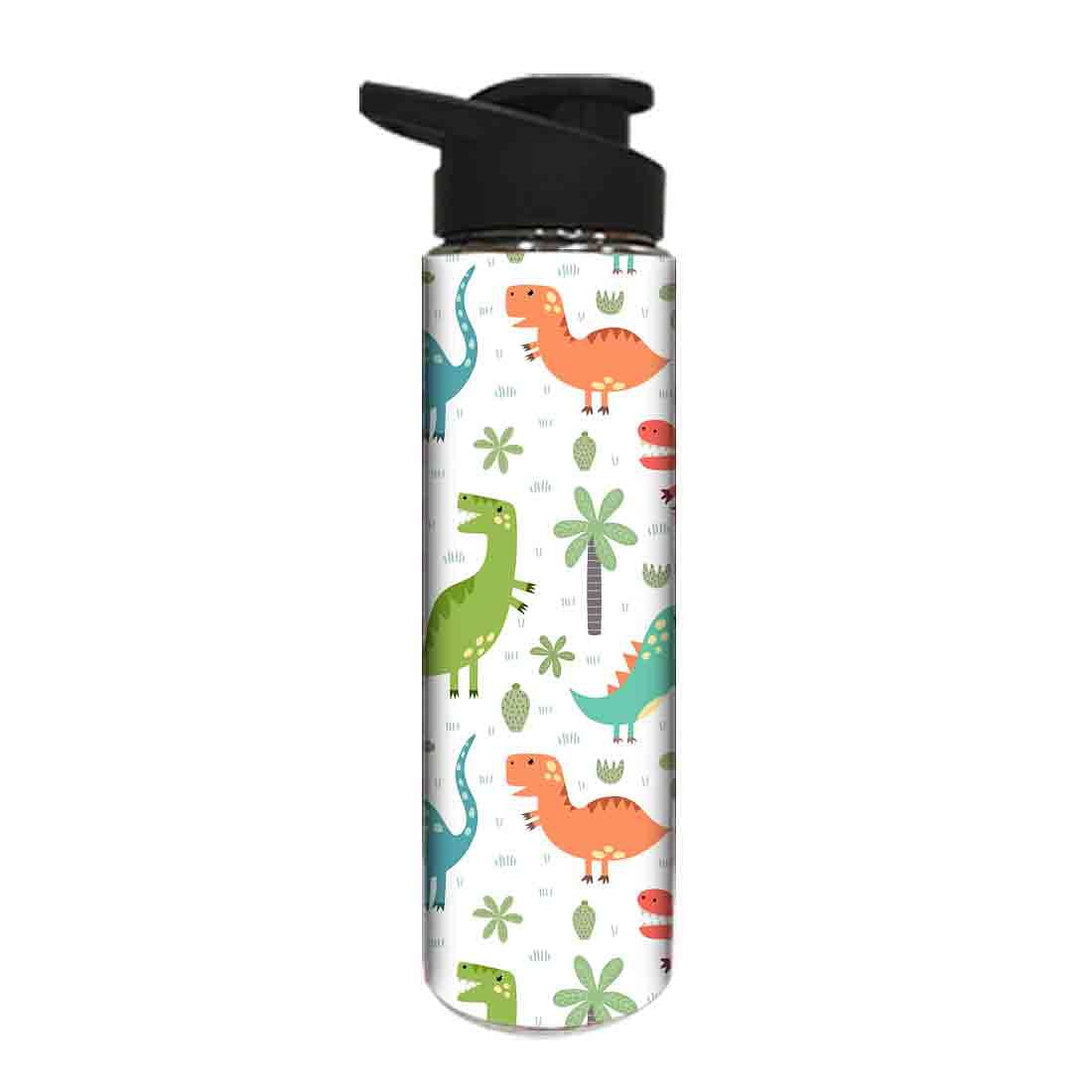 Sipper Bottle Return Gifts for Birthday Party for Kids - Dinosaurs Nutcase