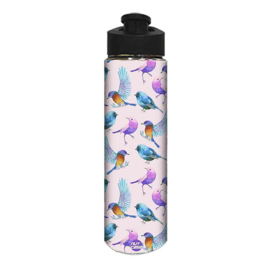 Designer Stainless Steel Sipper Bottle -  Watercolor Birds Nutcase