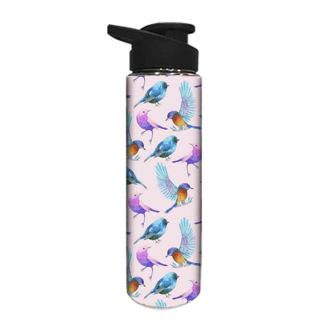 Designer Stainless Steel Sipper Bottle -  Watercolor Birds Nutcase
