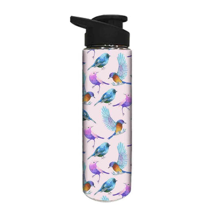 Designer Stainless Steel Sipper Bottle -  Watercolor Birds Nutcase
