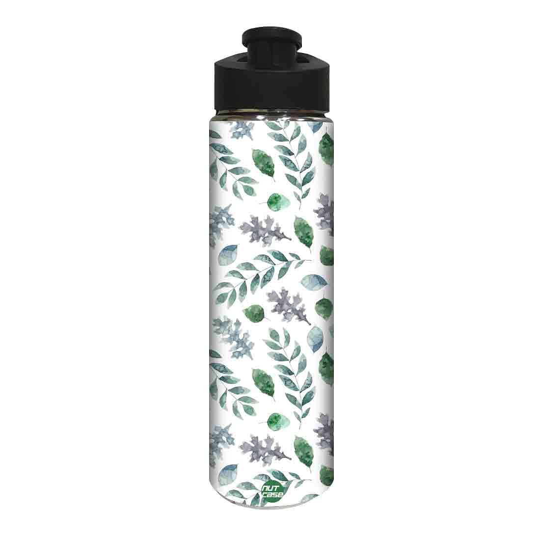 Designer Stainless Steel Water Bottle -  Green Leaf Nutcase