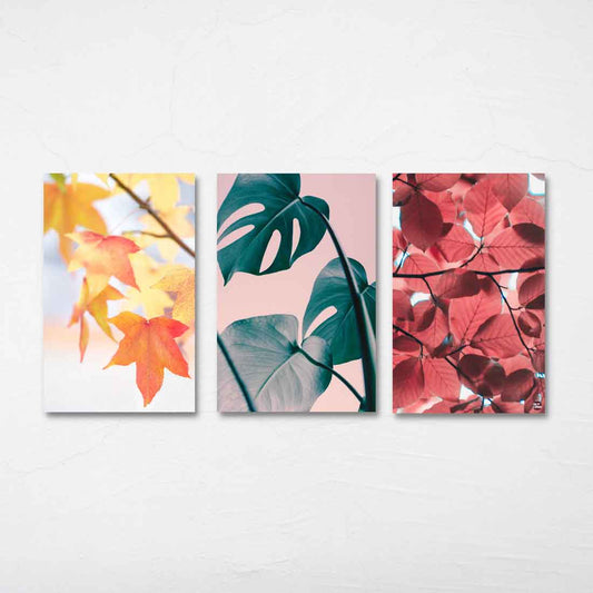 Designer Wall Art Decor Set Gallery Wrapped Prints -Leaves Nutcase