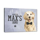 New Customized Nameplate for Pets -Loving Cute Golden Retriever Nutcase