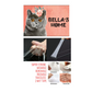 Nutcase Personalized Cat Name Plate Customzied Beware Of Cat Sign Board Home Door Plaque - British_Shorthair