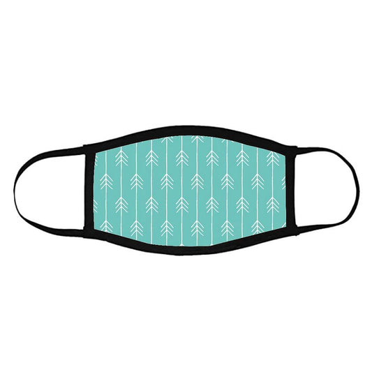 Face Masks Reusable Washable Set Of 2 -Teal_arrows Nutcase