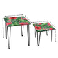 Designer Nest of 2 Tables for Living Room Side Coffee Table - Flamingo Nutcase
