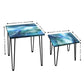 Modern Coffee Table Nesting Set of 2 Nest Of Tables for Living Room - Watercolor Nutcase