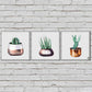 Wall Art Decor Hanging Panels Set Of 3 -Cactus Pot Nutcase