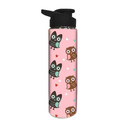 Designer Sipper Bottle for Kids -  Owl and Heart Nutcase