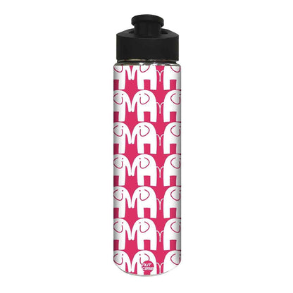 Designer Stainless Steel Water Bottle -  White Elephants Nutcase