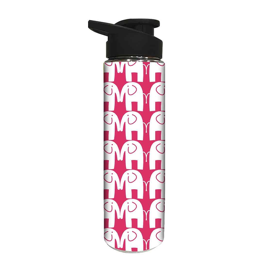 Designer Stainless Steel Water Bottle -  White Elephants Nutcase