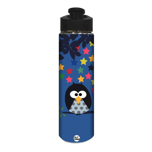 Designer Sipper Metal Bottle for Kids - Colorful Star Nutcase