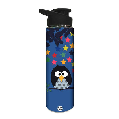 Designer Sipper Metal Bottle for Kids - Colorful Star Nutcase