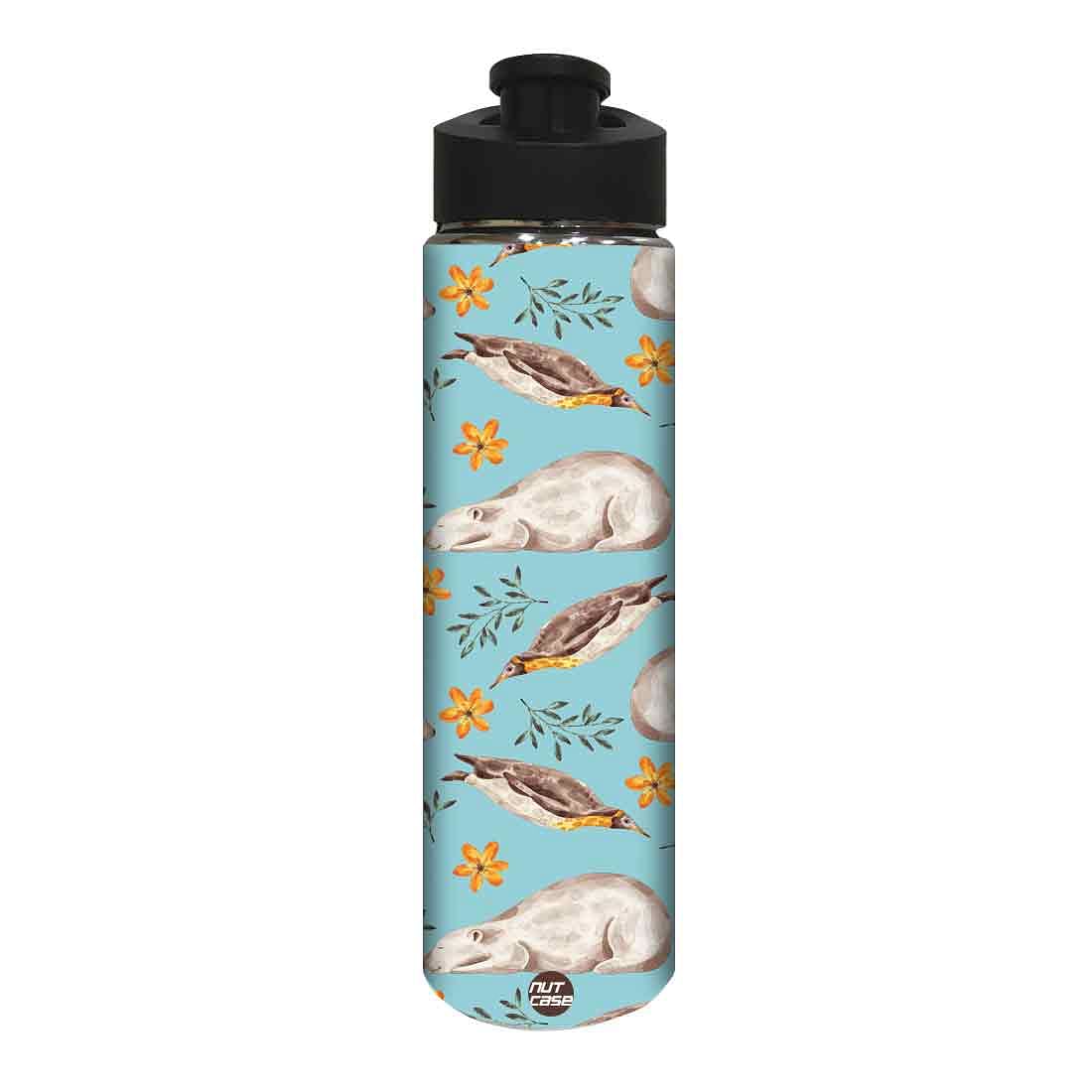 Designer Stainless Steel Sipper Bottle -  Bear and Flower Nutcase