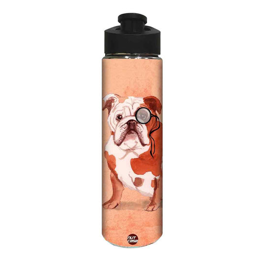 Designer Stainless Steel Sipper Bottle -  Bulldog Nutcase