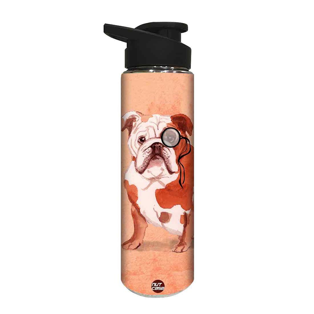 Designer Stainless Steel Sipper Bottle -  Bulldog Nutcase