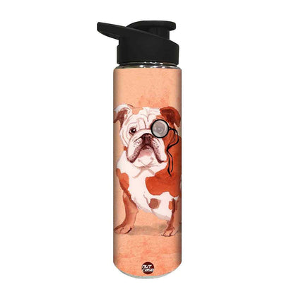Designer Stainless Steel Sipper Bottle -  Bulldog Nutcase