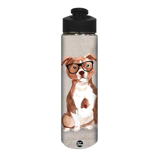 Water Bottle for Kids -  Cute Dog Nutcase