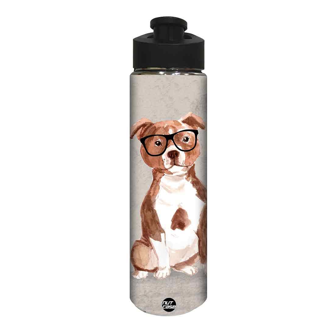 Water Bottle for Kids -  Cute Dog Nutcase
