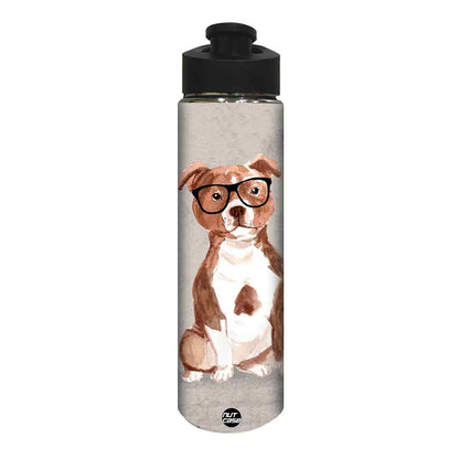 Water Bottle for Kids -  Cute Dog Nutcase