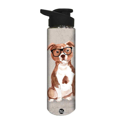 Water Bottle for Kids -  Cute Dog Nutcase