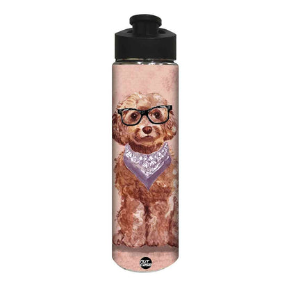 Stainless Steel Sipper Bottle -  Hipster Dog Nutcase