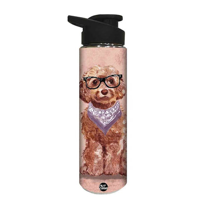 Stainless Steel Sipper Bottle -  Hipster Dog Nutcase