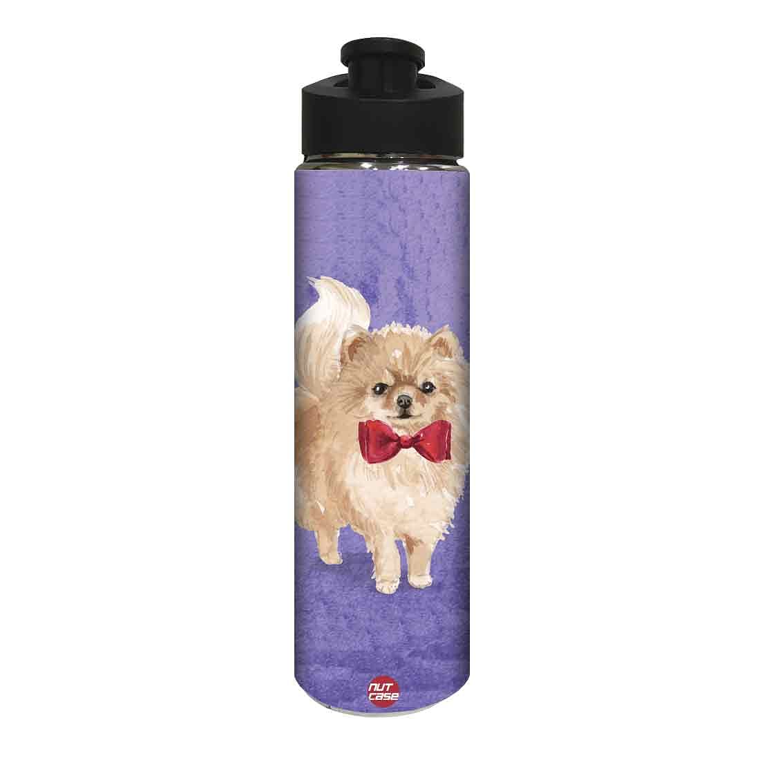 Designer Stainless Steel Water Bottle -  Cute Cat Love Nutcase