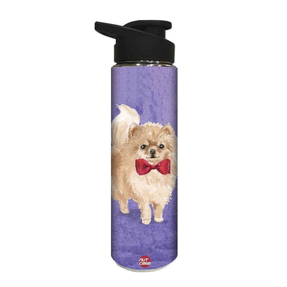 Designer Stainless Steel Water Bottle -  Cute Cat Love Nutcase