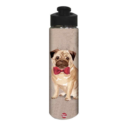 Stainless Steel Water Bottle -  Cute Bulldog Nutcase