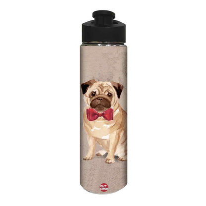 Stainless Steel Water Bottle -  Cute Bulldog Nutcase