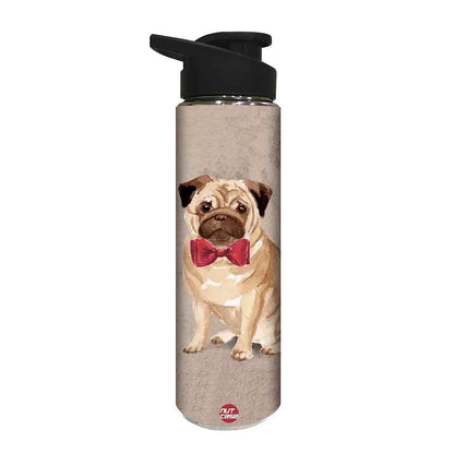 Stainless Steel Water Bottle -  Cute Bulldog Nutcase