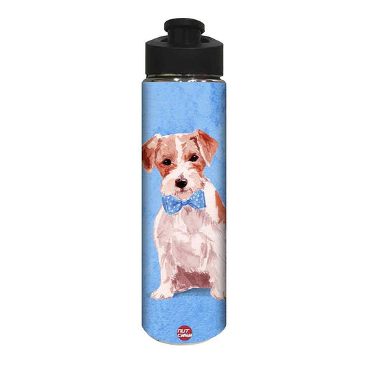 Designer Sipper Metal Drink Bottle for Children - Nice Dog Nutcase