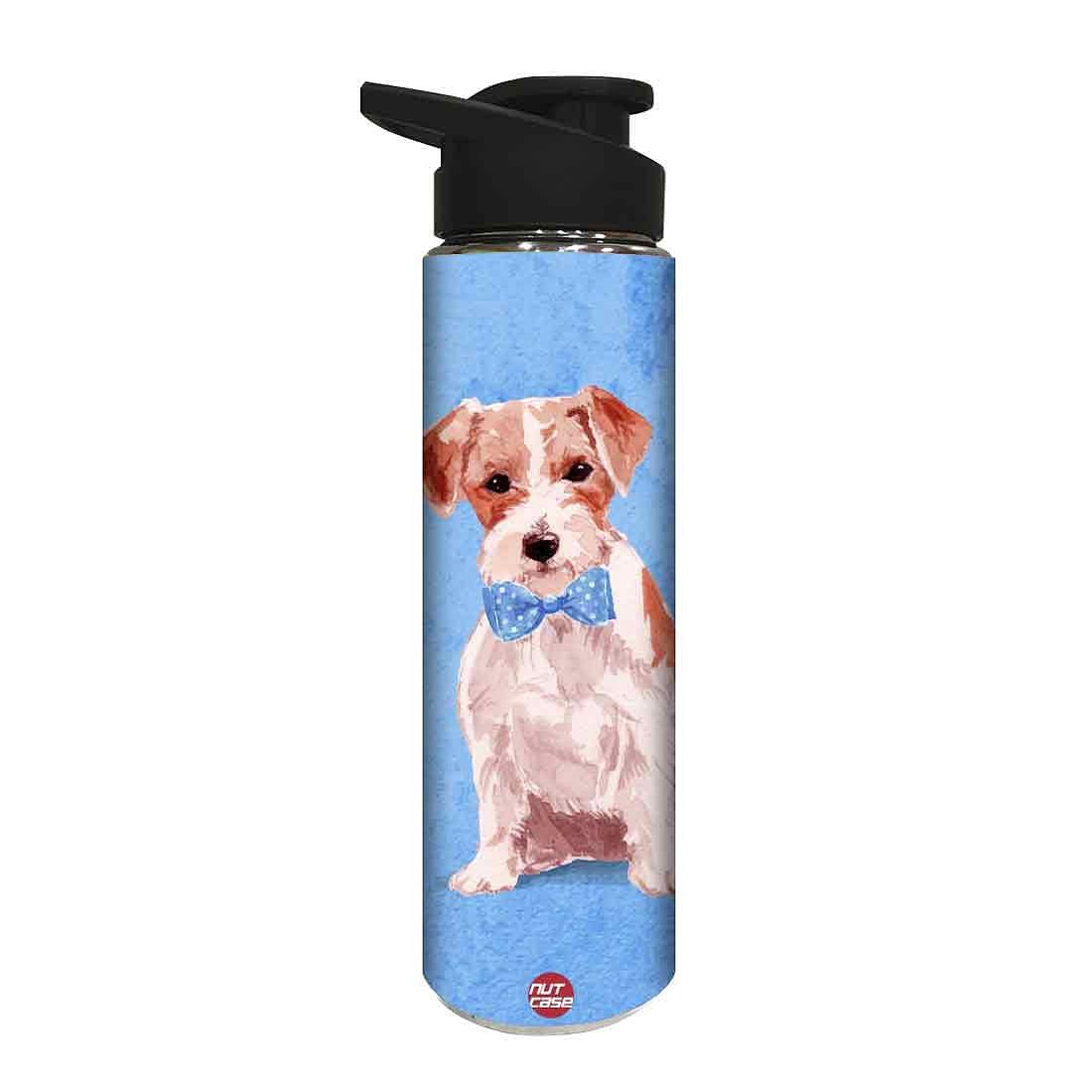 Designer Sipper Metal Drink Bottle for Children - Nice Dog Nutcase