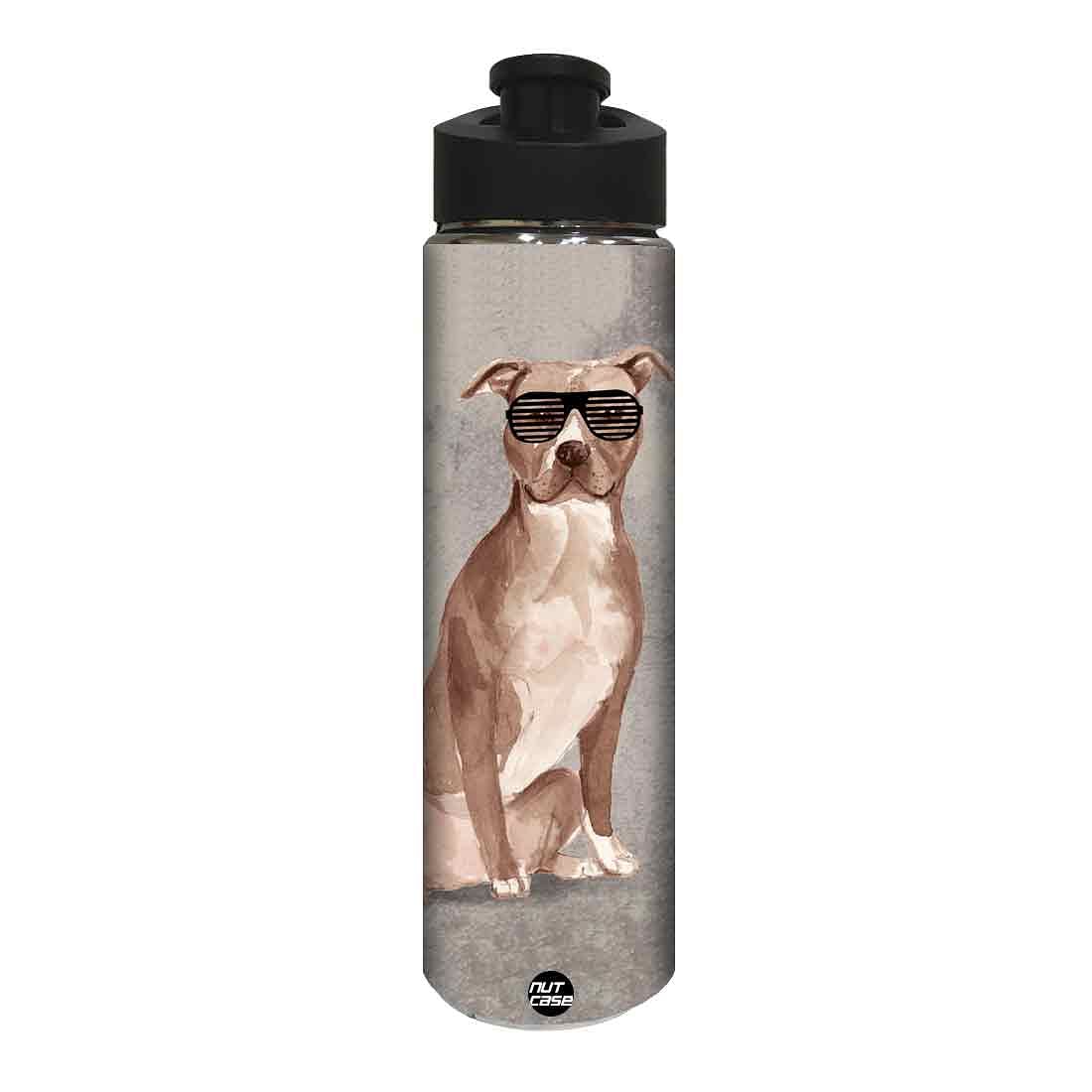 Water Bottle for Kids -  Shades on Dog Nutcase