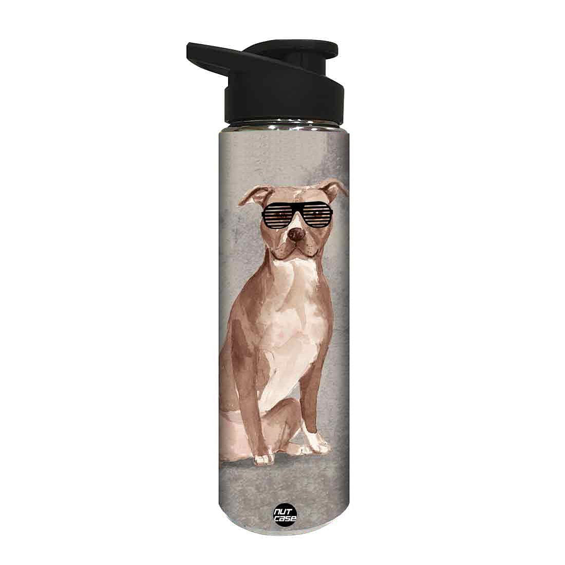 Water Bottle for Kids -  Shades on Dog Nutcase
