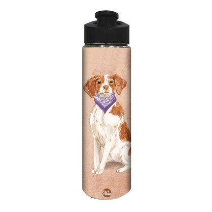 Stainless Steel Sipper Bottle -  Smart Hip Dog Nutcase