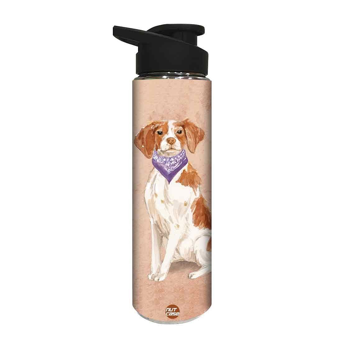 Stainless Steel Sipper Bottle -  Smart Hip Dog Nutcase