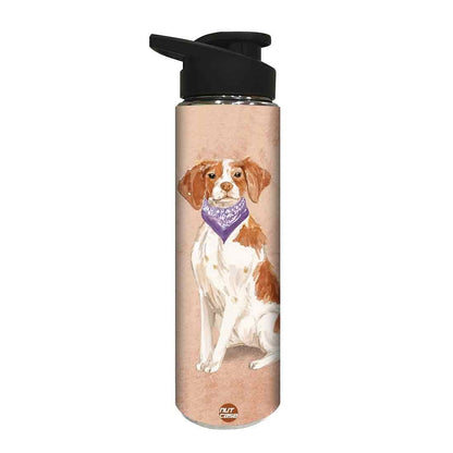 Stainless Steel Sipper Bottle -  Smart Hip Dog Nutcase