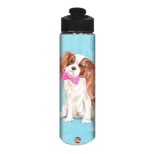 Designer Sipper Bottle for Kids -  Smarty Dog Nutcase